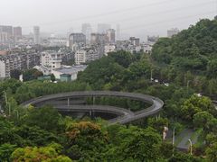 -福道