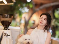 -帕帕拉兹宠物(亚洲旗舰店)