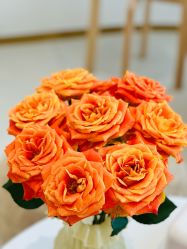 -WENDY·温迪皮肤管理