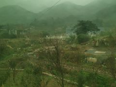 -大姆山草场