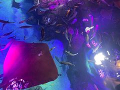 -沈阳海洋探索中心