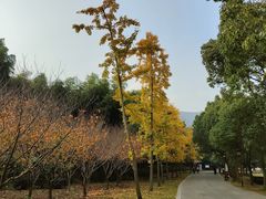 -穹窿山景区