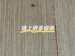 牛肉-富源杨记牛肉馆