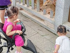 -王借岗森林公园