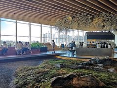 -Seesaw Coffee(朝阳大悦城店)