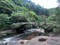 -黄荆老林