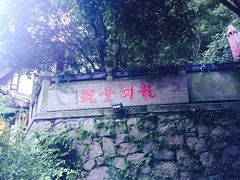 -龙井壹号·茶缘山景宴(龙井村店)