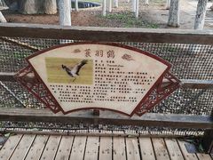 -艾溪湖湿地公园