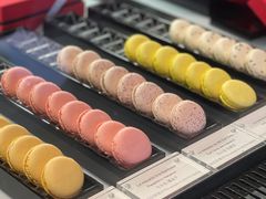 -Salon de The de Joel Robuchon(外滩18号店)