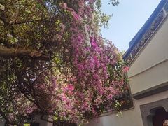 -深圳国际园林花卉博览园