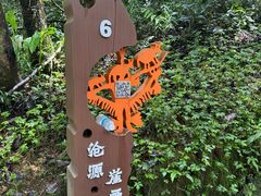 -沧源崖画