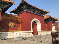 -北陵公园