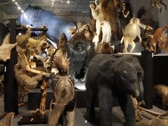 -东京国立博物馆