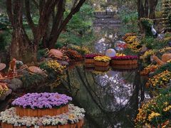 -上海共青森林公园