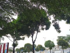 -万科城市广场(厚街店)