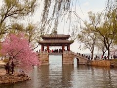 -颐和园