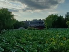 -莲池书院博物馆
