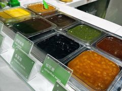 -Salud撒露欧洲冻酸奶(北苑上品店)