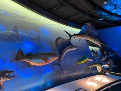 -陕西自然博物馆