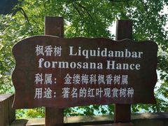 -广州市流溪河国家森林公园