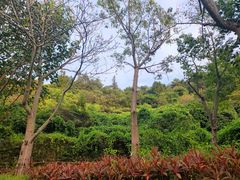 -广州都喜泰丽温泉度假酒店