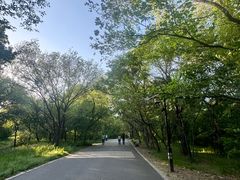 -北陵公园