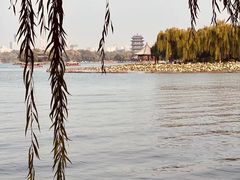 -济南大明湖景区