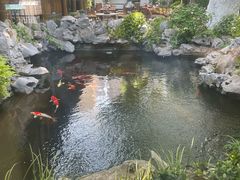 -鲤院·新中式美学·庭院餐厅(夫子庙店)