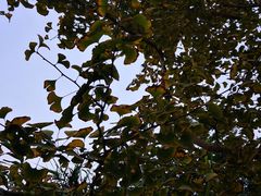 -白鹭湾湿地公园