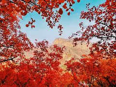 -周口店坡峰岭风景区