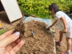 -大象粑粑造纸公园