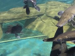 -泉州海丝野生动物世界