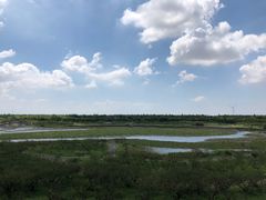 -上海海湾国家森林公园