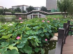 -西海子公园
