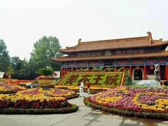 -曹州牡丹园