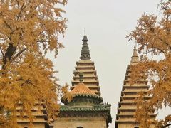 -北京石刻艺术博物馆(五塔寺)