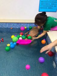 -子木乐园婴儿游泳馆(水晶港店)