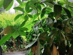 -味钱塘·钱塘渔鲜·地道江浙菜(宋城店)