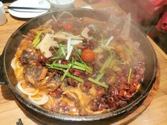 -老板恋上鱼(印象城店)