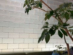 -一坐一忘云南菜(北京skp店)