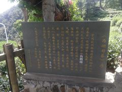 -杭州少年儿童公园