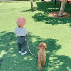 -萌宠亲子动物乐园(槐房万达店)