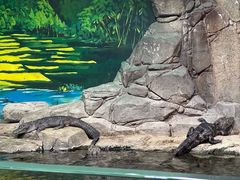 -上海海洋水族馆