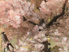 -汤里来温泉