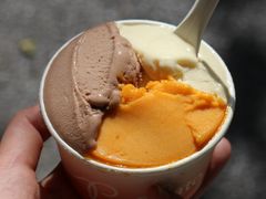 -Dip in Gelato(富民路店)