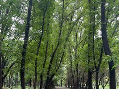 -洛阳市隋唐城遗址植物园