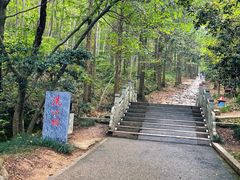 -冶父山国家森林公园