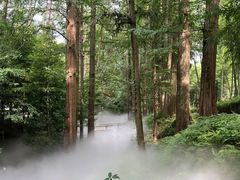 -东明山森林公园
