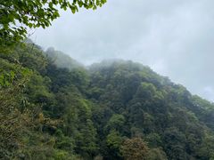 -碧峰峡风景区