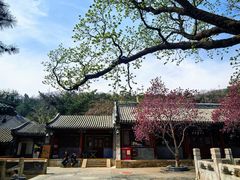 -潭柘寺景区